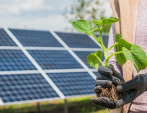 Energia solar e meio ambiente