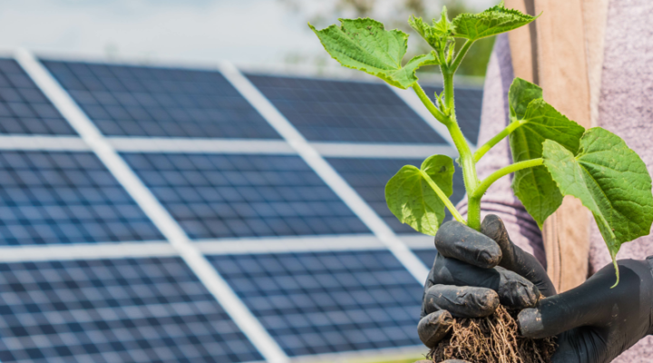 ENERGIA SOLAR E MEIO AMBIENTE